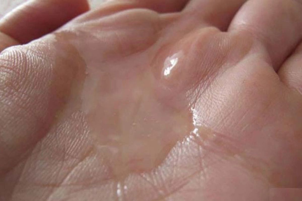 Lỡ nuốt tinh trùng có thể mang bầu không?
